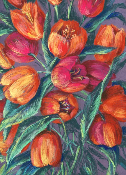 Buquê das tulipas — Fotografia de Stock