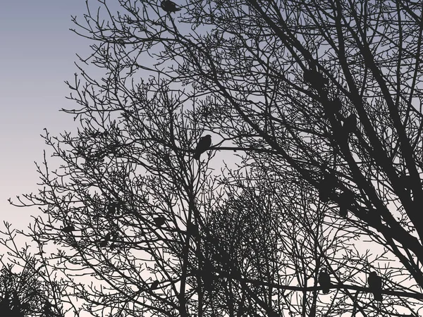 Illustration Vectorielle Silhouettes Arbres Branches Forêt Hivernale — Image vectorielle