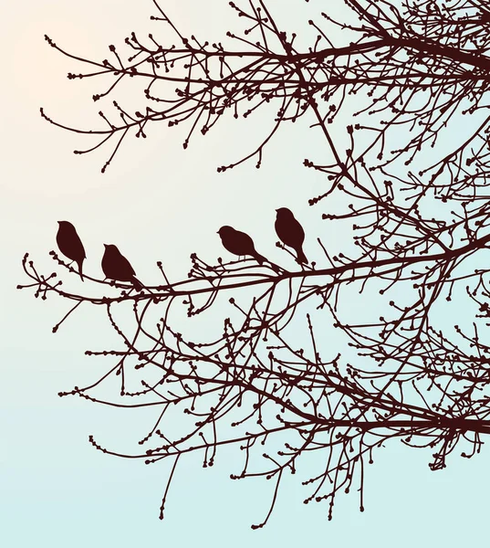 Natur Hintergrund Der Silhouetten Vögel Auf Ästen Frühling Wald — Stockvektor