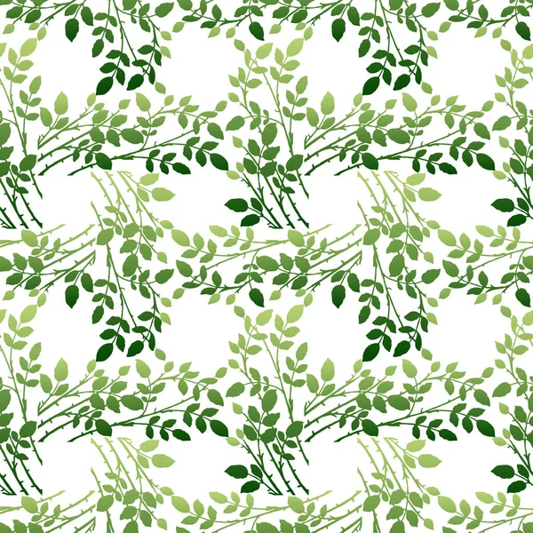 Yeşil yapraklı, kusursuz bitki dalları.