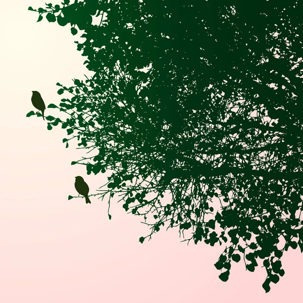 Vector Illustration Silhouettes Birds Tree Branches Summer Morning — Vector de stock