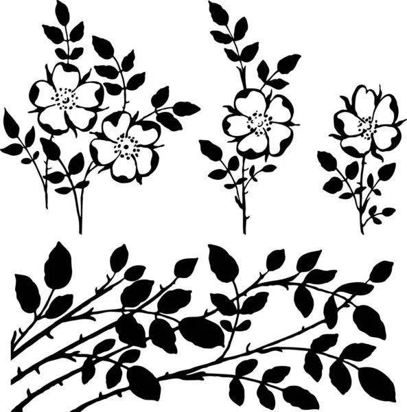 Vektorový Obraz Siluet Dekorativní Vinobraní Větviček Květin — Stockový vektor
