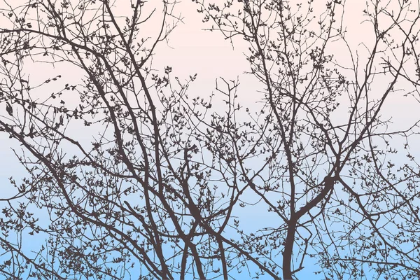 Vector Image Silhouettes Branches Deciduous Trees Spring Morning — 图库矢量图片