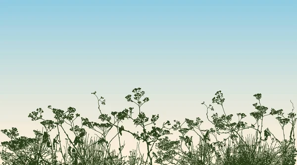 Vector Image Silhouettes Wildflowers Background Morning Sky — Vector de stock