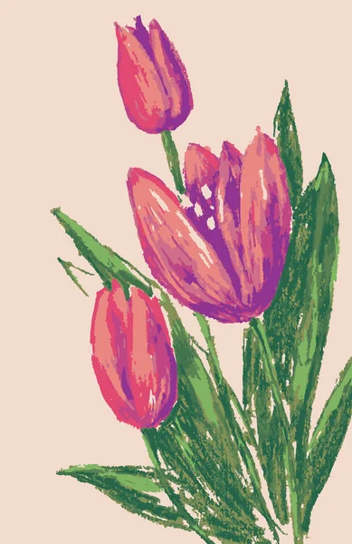 Desenho Vetorial Buquê Tulipas Rosa —  Vetores de Stock