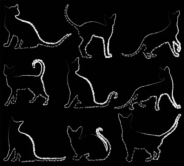Dibujos Esquemáticos Vectoriales Siluetas Abstractas Gatos Domésticos — Vector de stock