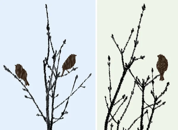 Image Vectorielle Dessins Griffonner Silhouettes Moineaux Sur Branches Arbres Printemps — Image vectorielle