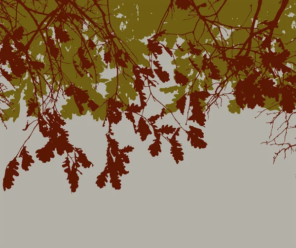 Векторный Фон Дубовых Ветвей Силуэтов Осенними Листьями — стоковый вектор