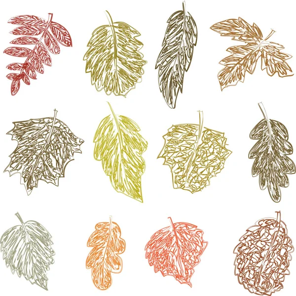 Vector Doodle Drawings Set Different Abstract Fall Trees Leaves - Stok Vektor