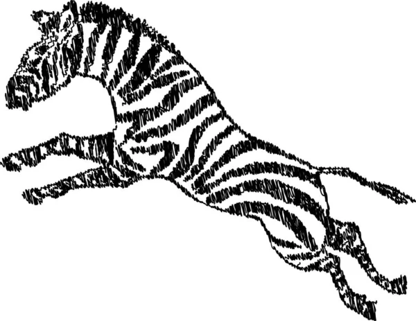 Vector Scribble Drawing Jumping Striped African Zebra - Stok Vektor