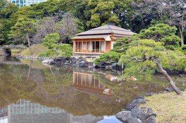 Sakin Japon bahçesi: Tokyo, Japan