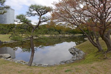 Sakin Japon bahçesi: Tokyo, Japan