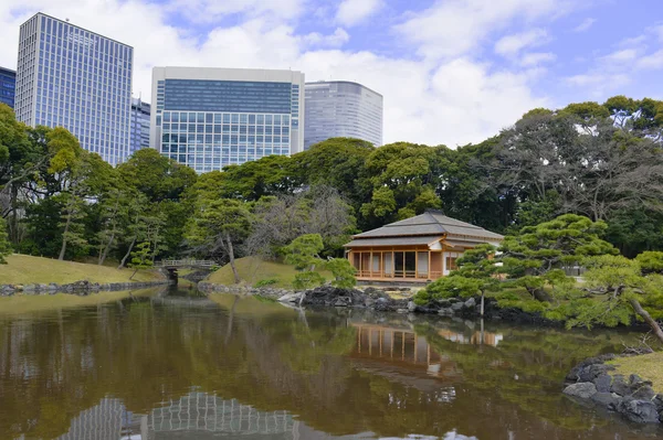 Nyugodt japán kert, Tokyo, Japán — Stock Fotó