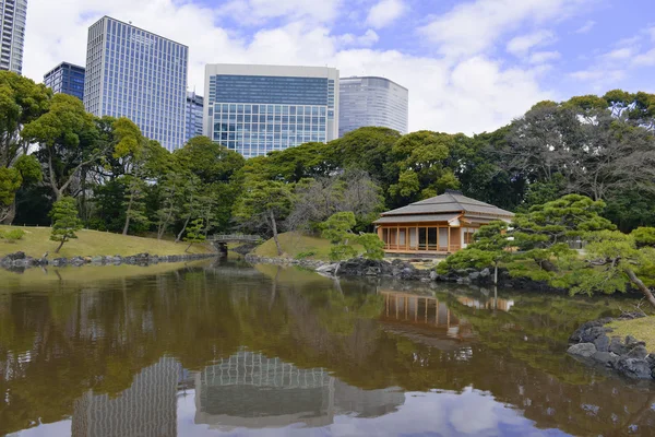 Тихий японский сад в Токио, Япония — стоковое фото