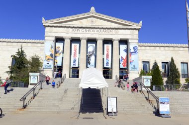 Chicago, Illinois, Mayıs 2016 yaklaşık. Shedd Aquarium Chicago'da bir kentin çok sayıda gözde mekanına ve genellikle bir hafta sonu öğleden sonra kalabalık.
