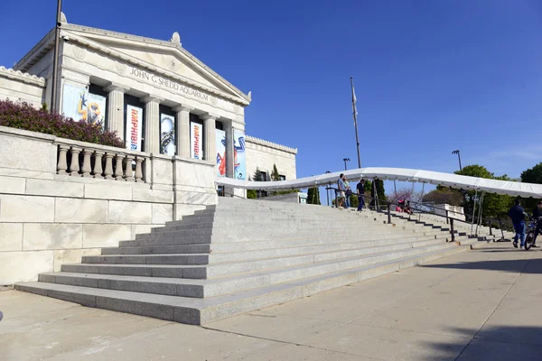 CHICAGO, ILLINOIS, CIRCA MAYO 2016. El Shedd Aquarium en Chicago es una de las muchas atracciones principales de la ciudad y a menudo está lleno en una tarde de fin de semana . — Foto de Stock