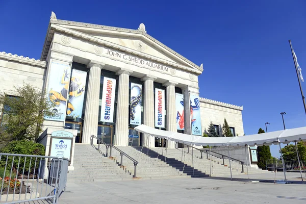 Chicago, Illinois, cca května 2016. Shedd Aquarium v Chicagu je jednou z mnoha atrakcí ve městě a je často přeplněné na víkendové odpoledne. — Stock fotografie