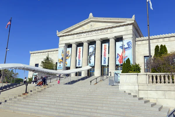 CHICAGO, ILLINOIS, CIRCA MAYO 2016. El Shedd Aquarium en Chicago es una de las muchas atracciones principales de la ciudad y a menudo está lleno en una tarde de fin de semana . — Foto de Stock