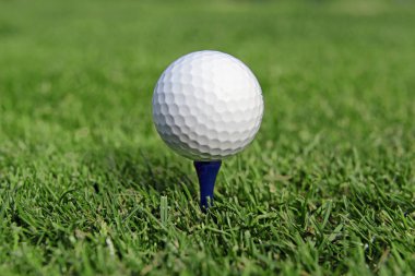 Golf ball and Flagstick of  Mancured grass of putting green clipart