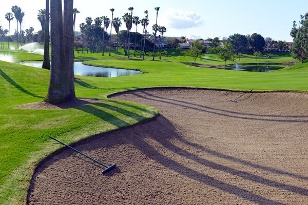 Manicured green grass of Fairway on golf course