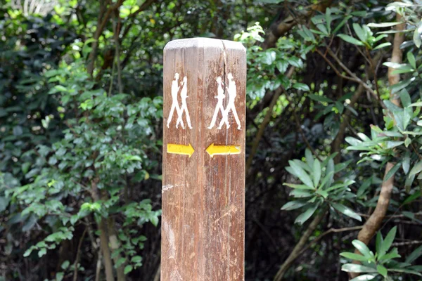 Wooden Trail direction signs on hiking trail to Dragon's Back in Hong Kong, in green tropical island background