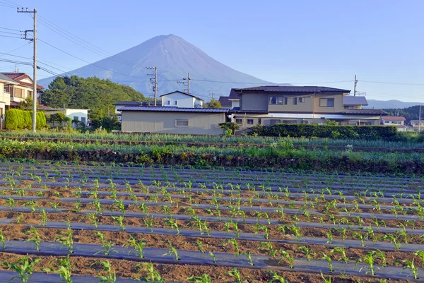 从日本农村小镇看富士山 — 图库照片
