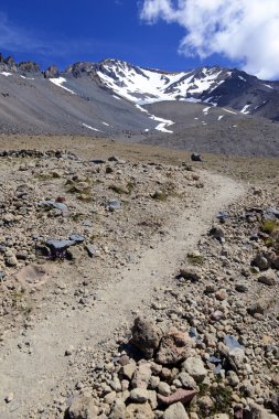 Yürüyüş ve Mount Shasta yanardağ, California'da art arda sıralı aralığı 14er üzerinde arazi tırmanma