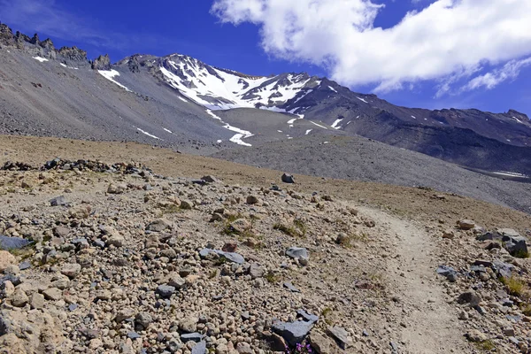 Senderismo y escalada en el volcán Mount Shasta, California 14er en la cordillera Cascade —  Fotos de Stock