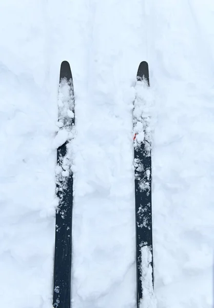 Längdskidor Snö Vintern — Stockfoto