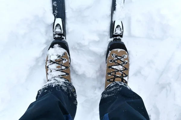 Cross Country Skis Snow Winter — Foto Stock