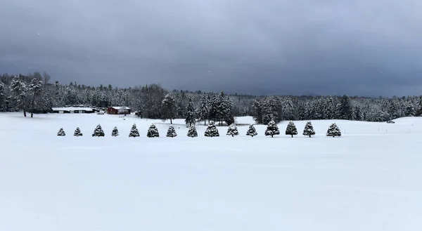 Cross Country Ski Tracks New Snow Mountains — Stockfoto