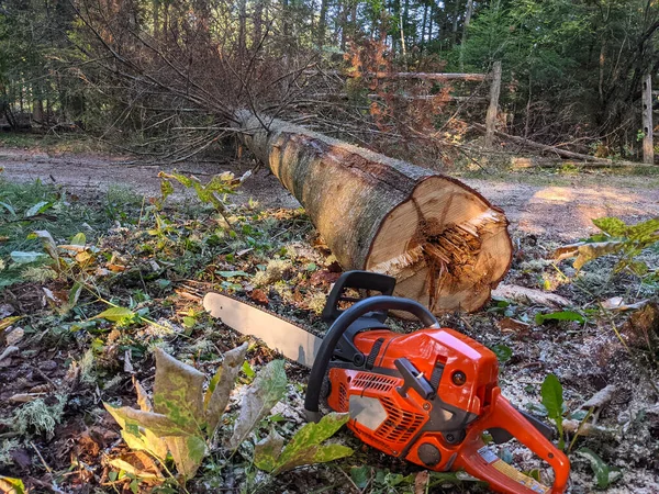 Motorsäge Mit Gefälltem Baum Hintergrund lizenzfreie Stockbilder