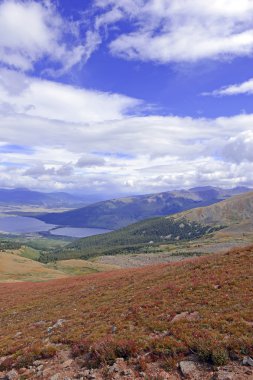Alpine tundra showing Fall colors clipart