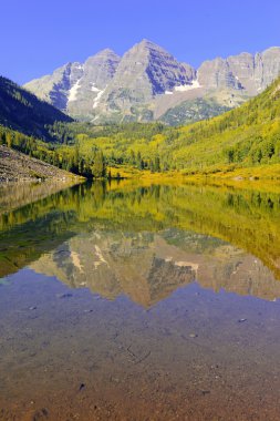 çan, elk aralığı, rocky Dağları, colorado bordo
