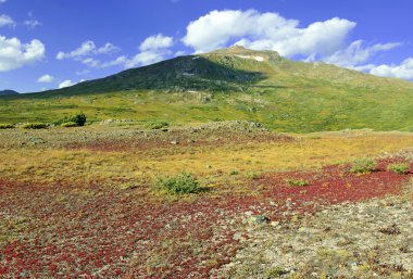 Alpine tundra in Autumn colors clipart