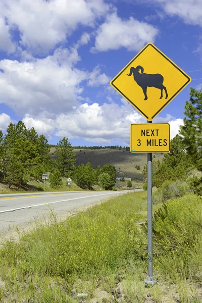 Señal de cruce de ovejas Bighorn — Foto de Stock