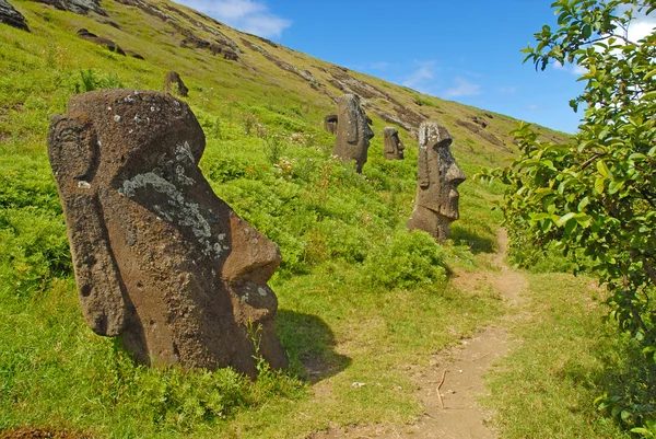 Moai, Isla de Pascua, Rapa Nui, Chile — Foto de Stock