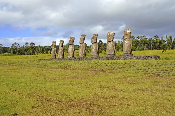 Moai, Ilha de Páscoa, Rapa Nui, Chile — Fotografia de Stock