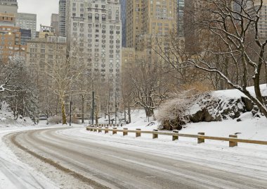Kar ve Manhattan manzarası, New York City Central Park