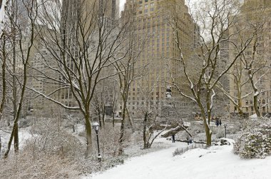 Kar ve Manhattan manzarası, New York City Central Park