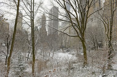 Kar ve Manhattan manzarası, New York City Central Park