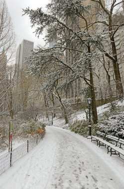Kar ve Manhattan manzarası, New York City Central Park