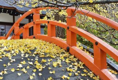 Shimogamo-jinja tapınak (Kamomioya - jinja), Kyoto, Japonya