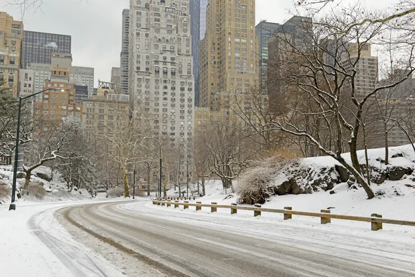 Centrální Park s sněhu a panorama Manhattanu, New York City — Stock fotografie