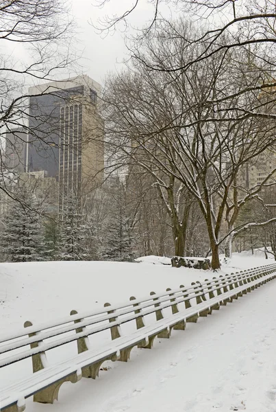 Central Park met sneeuw en de skyline van Manhattan, New York City — Stockfoto