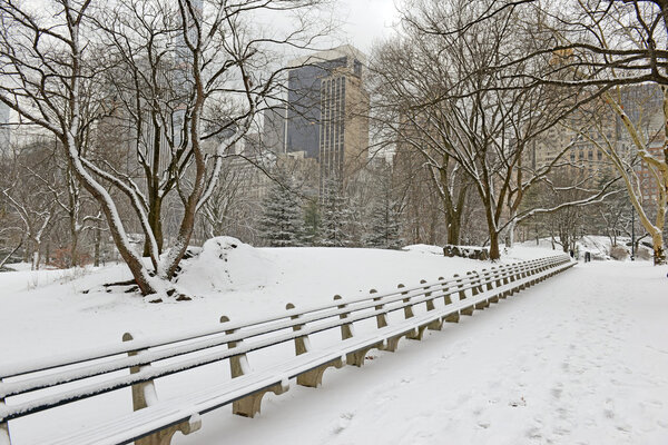 Central Park with snow and Manhattan skyline, New York City