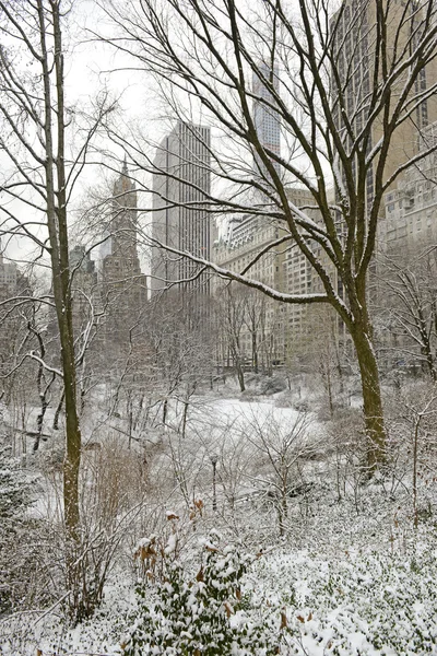 Центральный парк со снегом и горизонтом Манхэттена, Нью-Йорк — стоковое фото