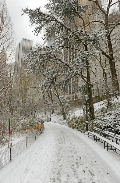 Центральный парк со снегом и горизонтом Манхэттена, Нью-Йорк — стоковое фото