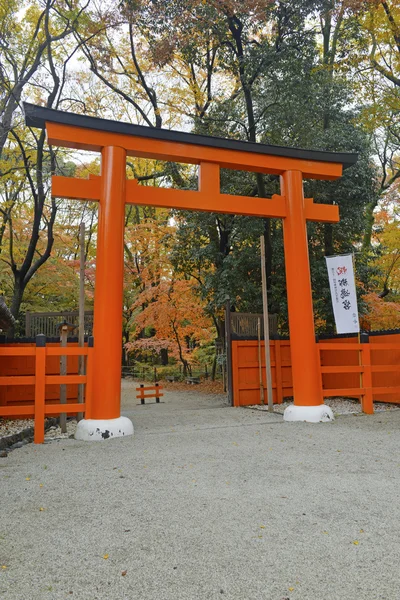 Sanctuaire Shimogamo-jinja (Kamomioya - jinja), Kyoto, Japon — Photo