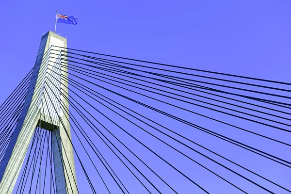 Anzac Bridge, Sydney, Ausztrália — Stock Fotó